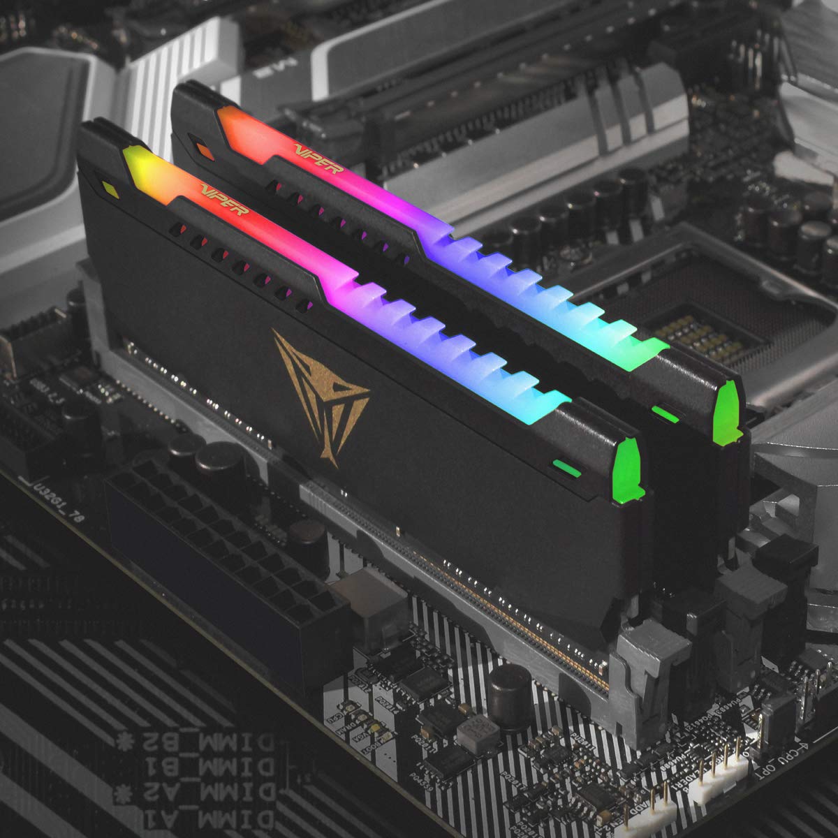 Patriot Memory Viper Steel RGB DDR4 32GB (2 x 16GB) 3600MHz Kit PVSR432G360C0K