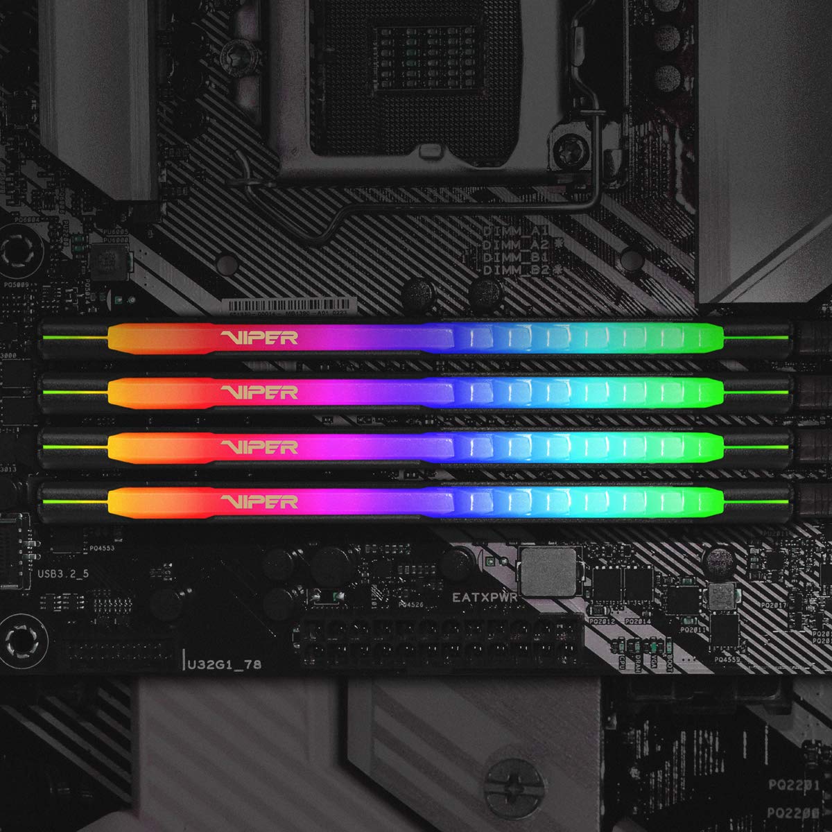 Patriot Memory Viper Steel RGB DDR4 32GB (2 x 16GB) 3600MHz Kit PVSR432G360C0K
