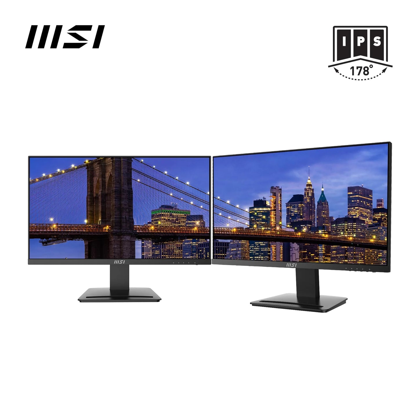 MSI PRO MP251 24.5 Inch Full HD Office Monitor - 1920 x 1080 IPS Panel, 100 Hz, Eye-Friendly Screen, Built-in Speakers, Tilt-Adjustable - HDMI 1.4b, D-Sub (VGA)