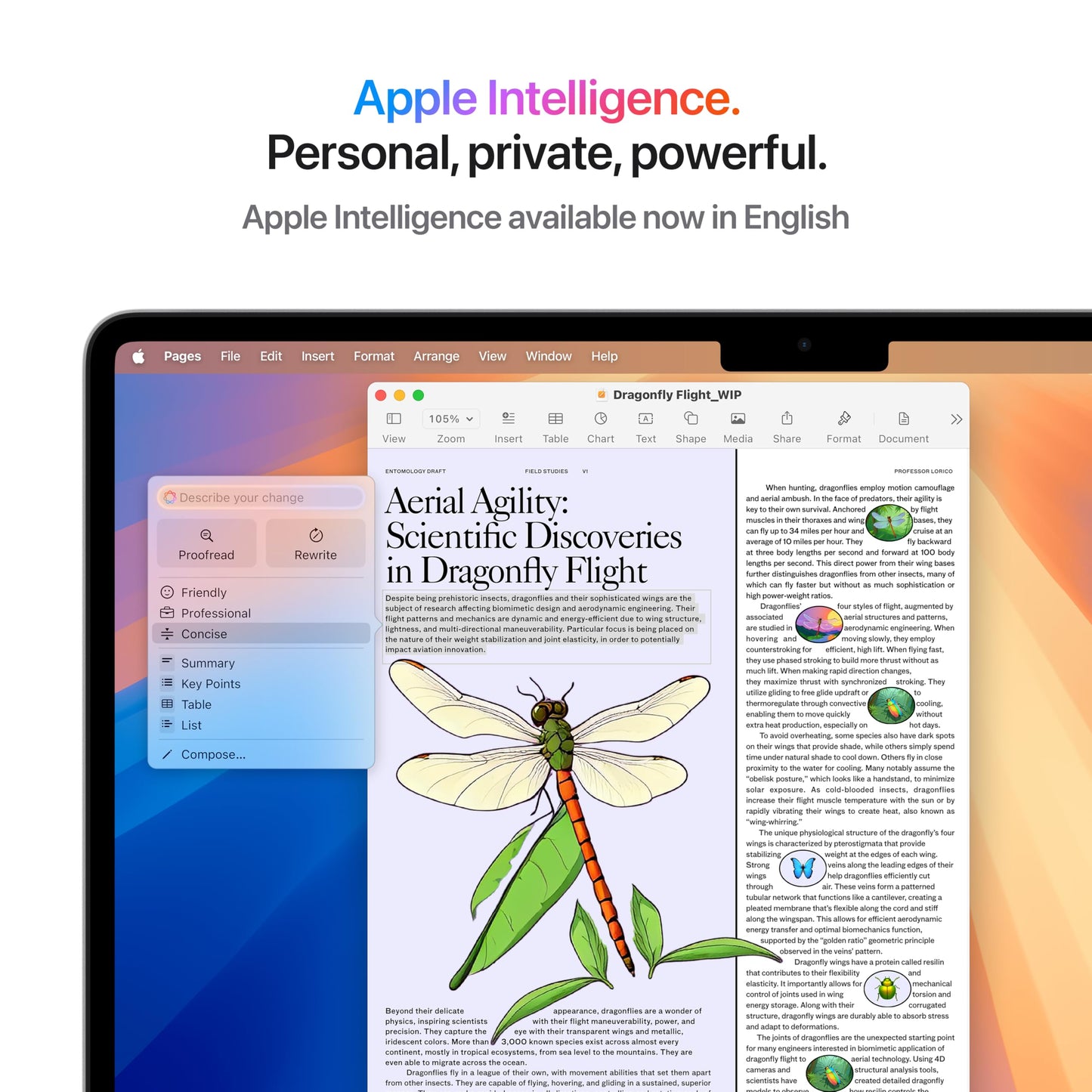 Apple 2025 MacBook Air (13-inch, Apple M4 chip with 10-core CPU and 8-core GPU, 16GB Unified Memory, 256GB) - Silver