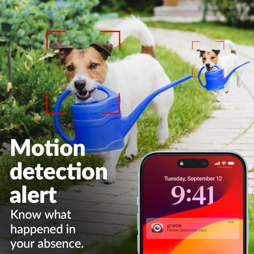 CP PLUS 4MP Wi-fi Full Color Outdoor Smart Security Camera | 360˚ with Pan & Tilt | Two Way Talk | Human Detection | Night Vision | Supports SD Card (Up to 128 GB) | Alexa & OK Google - CP-Z43A