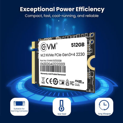 EVM 512GB M.2 NVMe (2230) Internal SSD - PCIe Gen 3x4, Up to 3600MB/s Read, 2800MB/s Write - Ideal for PC Boost Storage - 5 Years Warranty (EVMNV30/512GB)