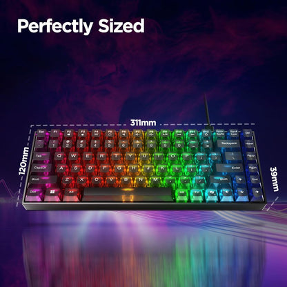 Lenovo Legion K510 Mini Pro Gaming Keyboard, 16.8 Million Colors RGB Per Key, Programmable |100% Anti Ghosting Mechanical switches |Customizable| USB 2.0 Interface |3 Yr Warranty | Black + Traslusent