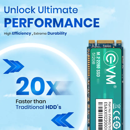 EVM 512GB M.2 (2280) SATA Internal SSD - 540MB/s Read & 450MB/s Write - 5-Year Warranty (EVMM2/512GB)