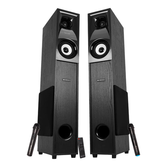 Zebronics Hammer Dual Tower Speaker