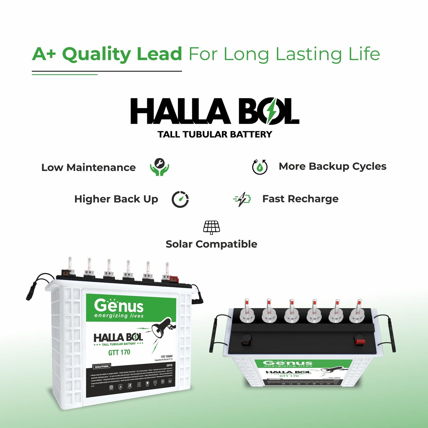 Genus Hallabol GTT170 Tall Tubular 150 AH Inverter Battery for Home, Office or Solar Use, 60 Months Warranty, White