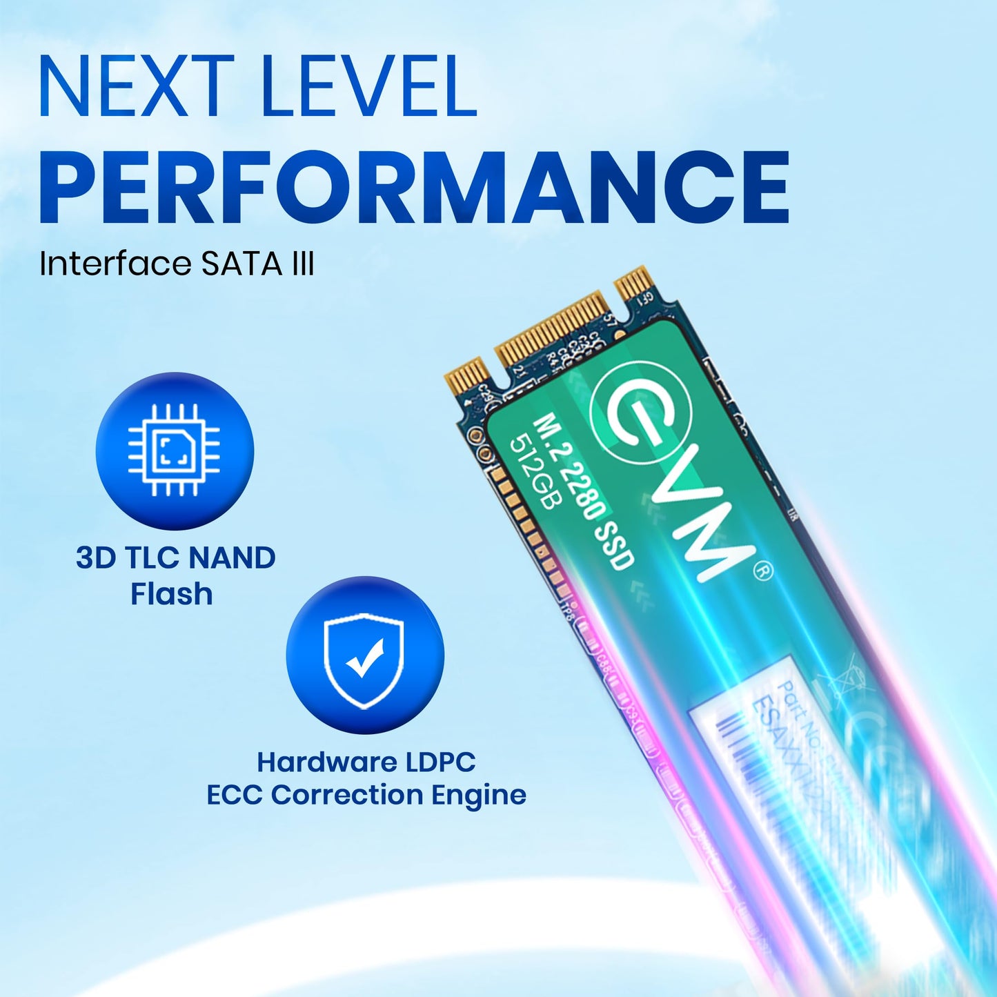 EVM 512GB M.2 (2280) SATA Internal SSD - 540MB/s Read & 450MB/s Write - 5-Year Warranty (EVMM2/512GB)