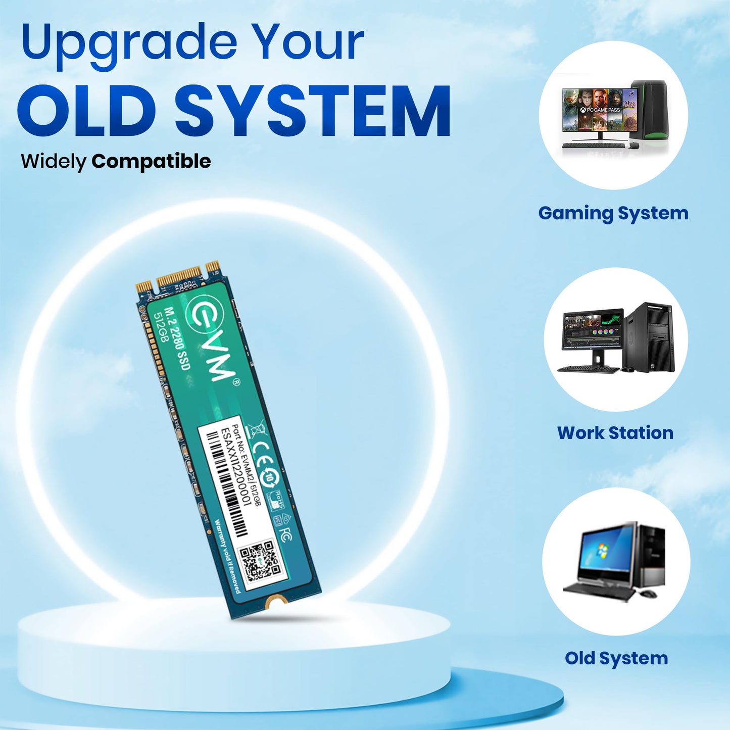 EVM 512GB M.2 (2280) SATA Internal SSD - 540MB/s Read & 450MB/s Write - 5-Year Warranty (EVMM2/512GB)