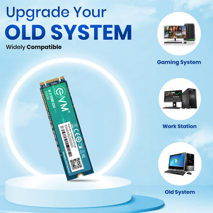 EVM 512GB M.2 (2280) SATA Internal SSD - 540MB/s Read & 450MB/s Write - 5-Year Warranty (EVMM2/512GB)