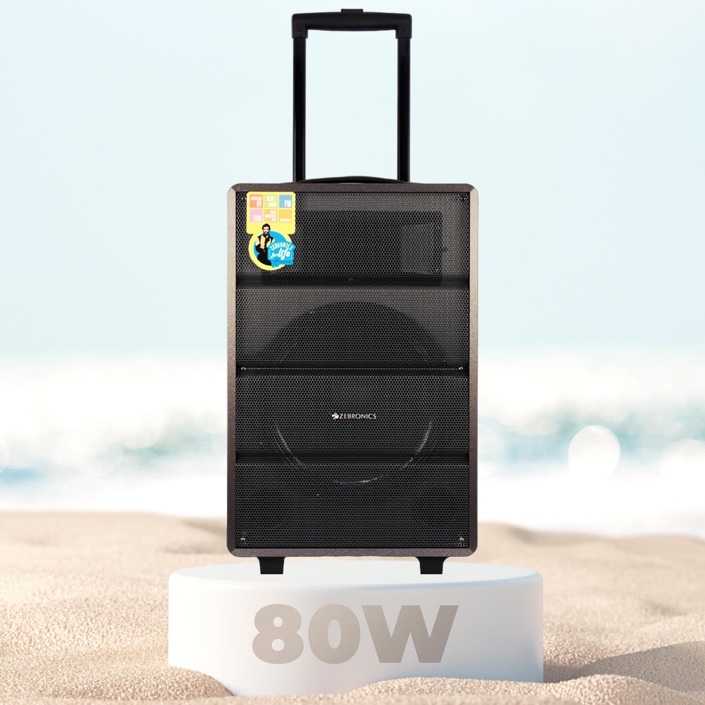 ZEBRONICS Banjo, 80 Watts RMS, Trolley Speaker with Bluetooth